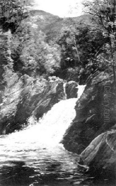 Cascading Falls Oil Painting by Homer Dodge Martin