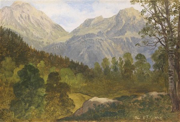 Blick Auf Das Hohe Brett Und Den Jenner Am Konigsee Oil Painting by Martin Martin