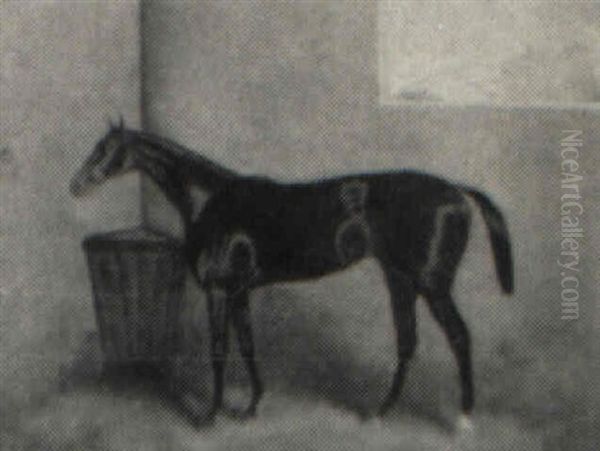 Racing Horse In A Stable Oil Painting by Sylvester Martin