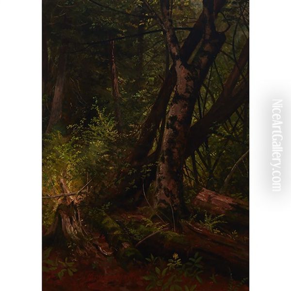 Trees Oil Painting by Thomas Mower Martin