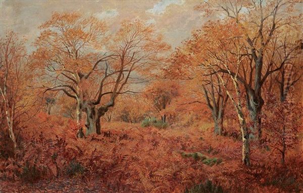 Untitled - Forest In Autumn Oil Painting by Thomas Mower Martin