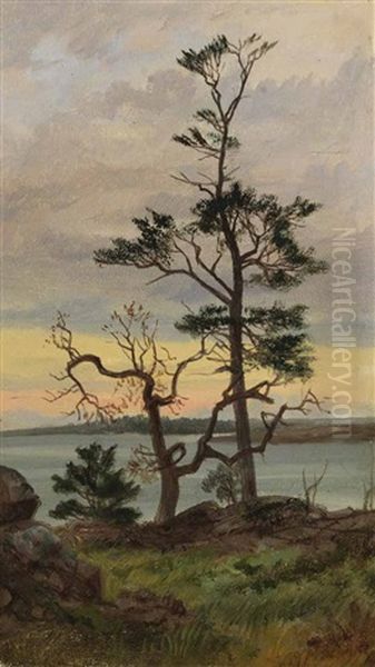 A) Near Oak Bay
B) The Road From Oak Bay To Foul Bay
C) Oak In Beacon Hill Park (3 Works) Oil Painting by Thomas Mower Martin