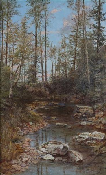 Forest And Rocky Creek Oil Painting by Thomas Mower Martin