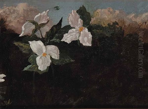 Untitled - Trilliums Oil Painting by Thomas Mower Martin