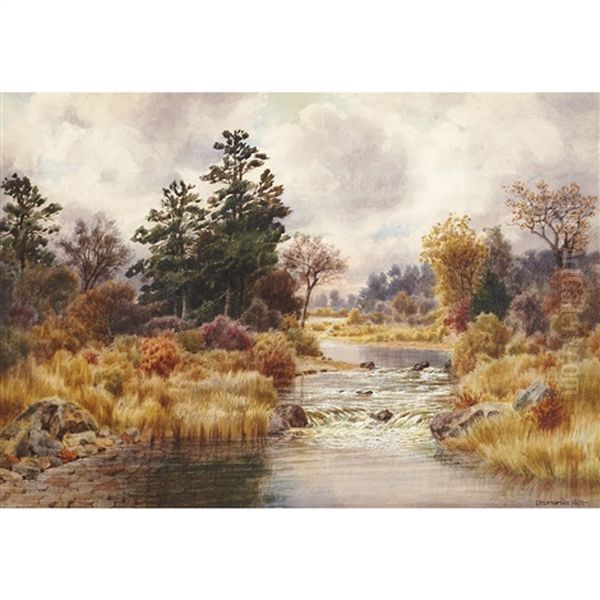 In The Moose Country, North Of Georgian Bay Oil Painting by Thomas Mower Martin