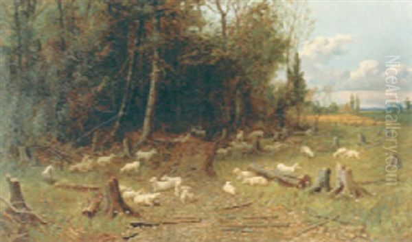 Flock Of Sheep By Forest Edge Oil Painting by Thomas Mower Martin