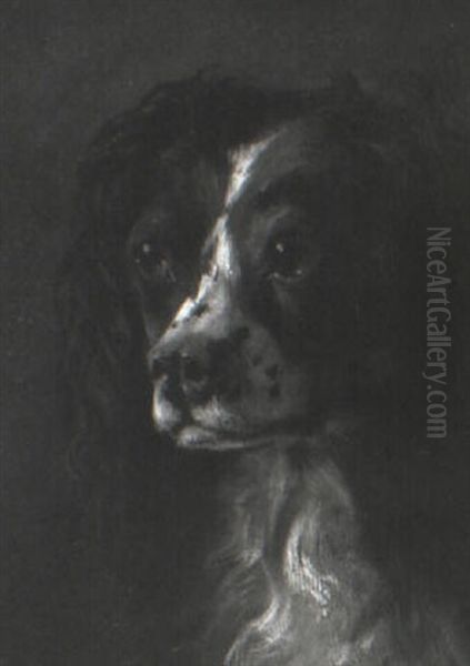 Portrait Of A Spaniel Oil Painting by Thomas Mower Martin