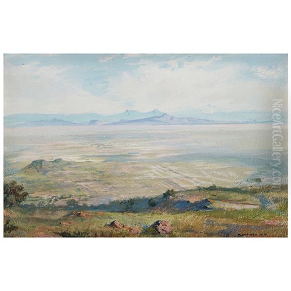 Paisaje De Valle Con Vista De Los Volcanes Al Fondo Oil Painting by Isidro Martinez Colin