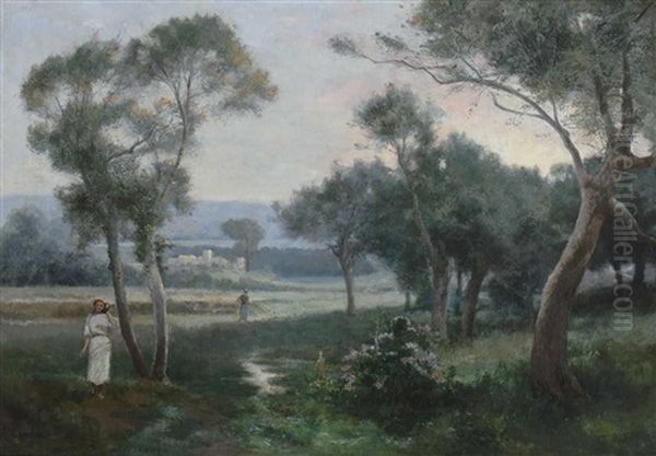 Nordafrikanischer Olivenhain In Der Dammerung Oil Painting by Tito Marzocchi de Belluci