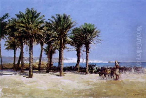 Vue D'alger Oil Painting by Tito Marzocchi de Belluci