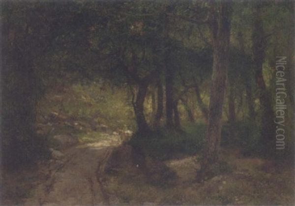 A Track Running Through A Sunlit Glade Oil Painting by Francisco Masriera Manovens