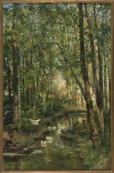 Bosque Con Patos Oil Painting by Jose Maria Masriera y Manovens