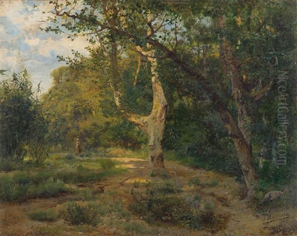 Sonnige Waldlandschaft Mit Spaziergangerin Oil Painting by Jose Maria Masriera y Manovens