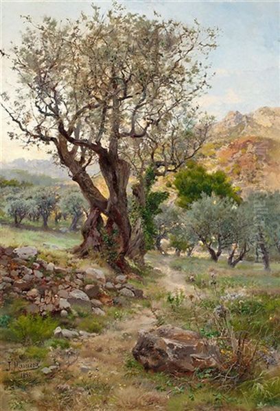 Olivos De Llavaneras Oil Painting by Jose Maria Masriera y Manovens