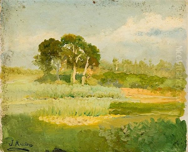 Paisaje Oil Painting by Jose Maria Masriera y Manovens