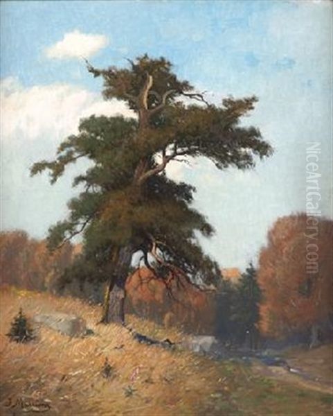 Paisaje Con Arbol Oil Painting by Jose Maria Masriera y Manovens