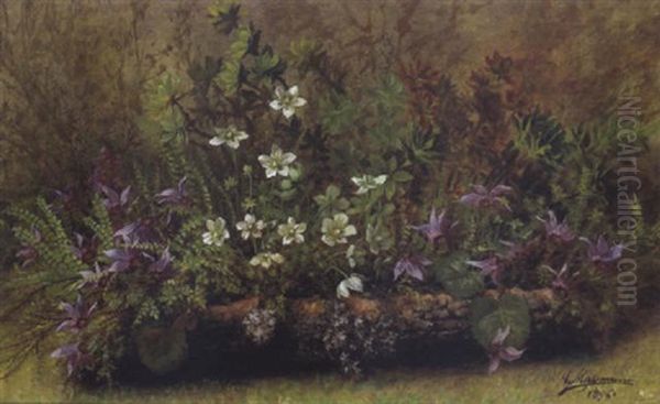 Waldblumen Oil Painting by Carl Massmann