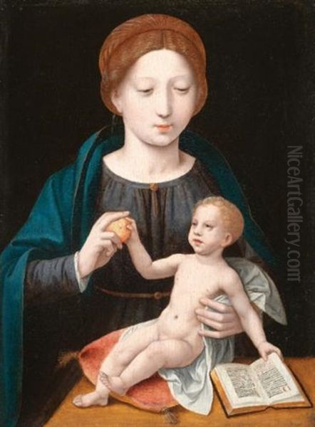 The Virgin And Child With An Apple And An Open Book Oil Painting by  Master of the Female Half Lengths