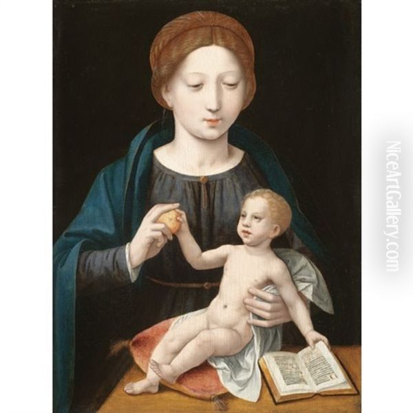 The Virgin And Child With An Apple And An Open Book Oil Painting by  Master of the Female Half Lengths