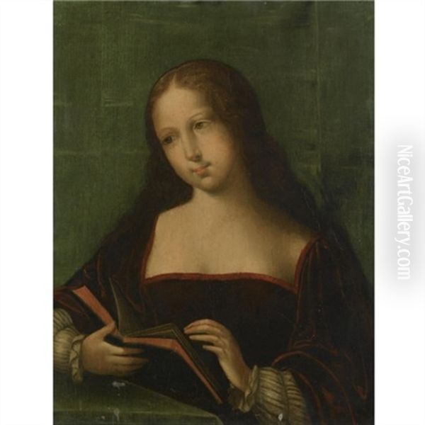 Mary Magdalene Reading Oil Painting by  Master of the Female Half Lengths