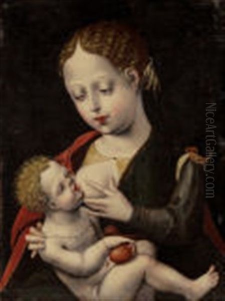 The Virgin Nursing The Christ Child Oil Painting by  Master of the Parrot