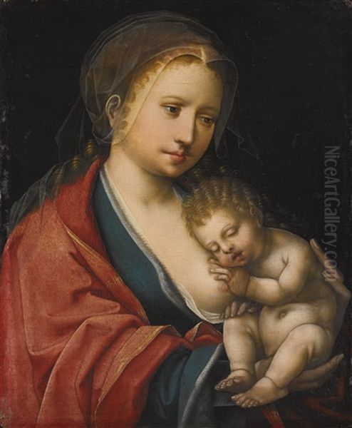 The Virgin And Child Oil Painting by  Master of the Parrot