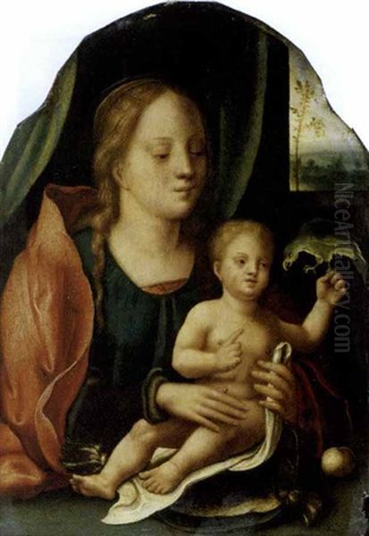 Madonna Con Bambino E Un Pappagallo Oil Painting by  Master of the Parrot