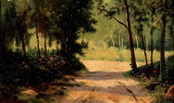 Bosque Mediterraneo Oil Painting by Jose Mataix Moullor