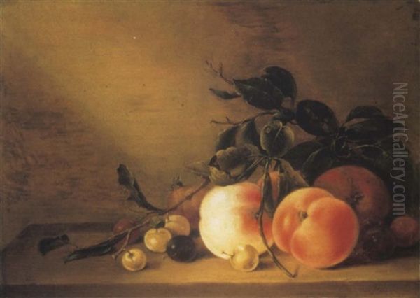 Peaches, An Apple, An Apricot, Plums And Cherries On A Ledge With A Wasp Oil Painting by Jan Matham