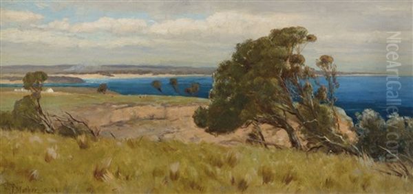 Blue Bay, Kilcunda Oil Painting by John Mather