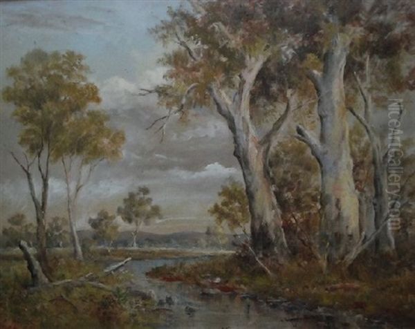 Australian Landscape With Creek Oil Painting by John Mather