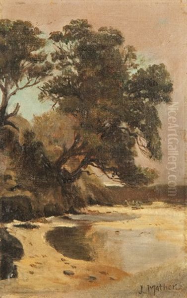 Ti Tree Port Philip Bay Oil Painting by John Mather