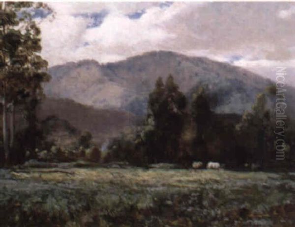 Mt. Manda, Healesville, Victoria Oil Painting by John Mather