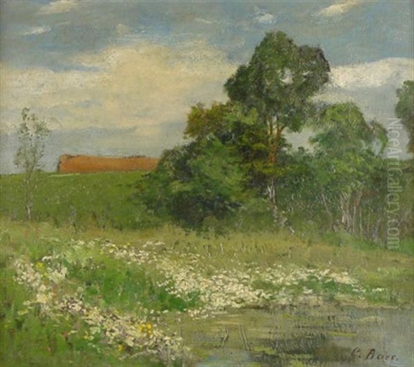 Sommerlandschaft. Bluhende Wiesen An Einem Weiher Oil Painting by Carola Baer von Mathes