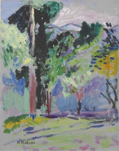 Paysage A Collioure Oil Painting by Henri Matisse