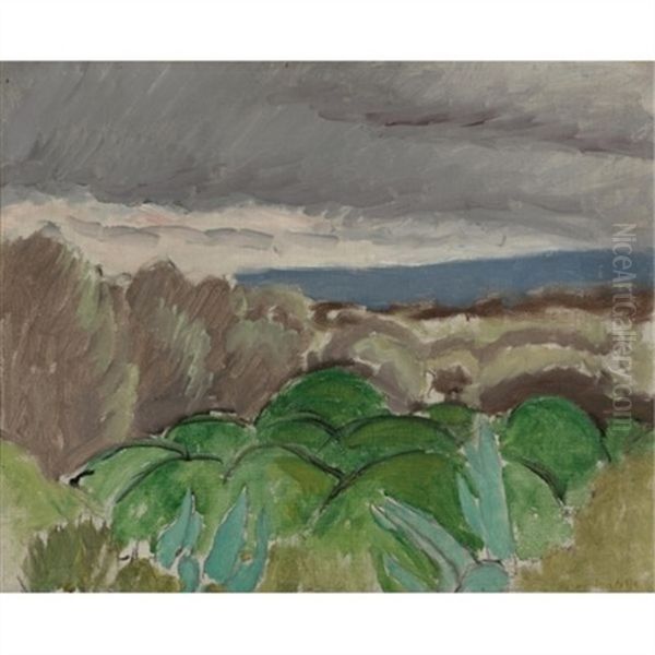 Cagnes, Paysage Aux Temps Orageux Oil Painting by Henri Matisse