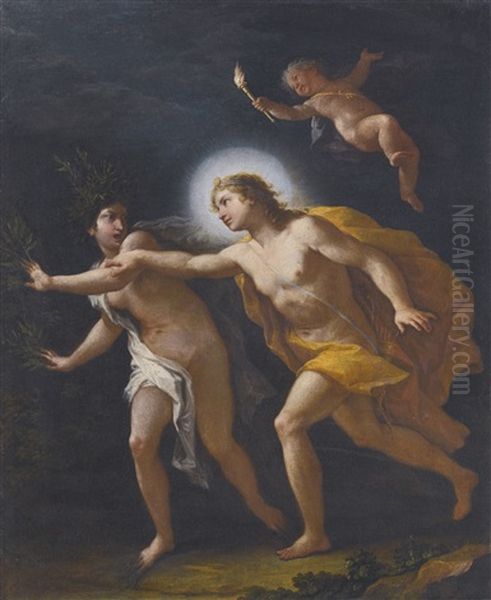 Apollo And Daphne Oil Painting by Paolo de Matteis