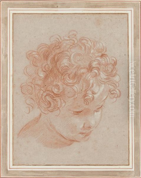 Head Of A Young Boy With Curly Hair, Looking Down To Theright Oil Painting by Niccolo Berrettoni