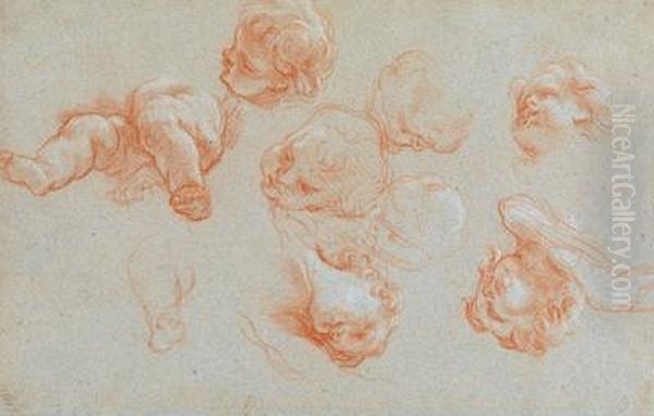 A Study Sheet With Legs And Heads Of Putti Oil Painting by Niccolo Berrettoni