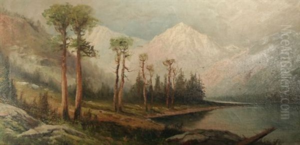 Trees On A Lake Oil Painting by Frederick Matzow