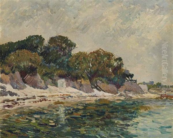 Plage Aux Grands Arbres Oil Painting by Maxime Maufra