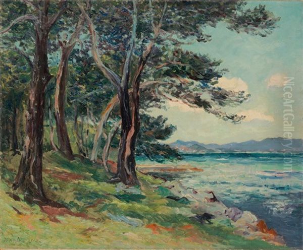 Les Vieux Sapins (ile St. Honorat) Alpes Maritimes Oil Painting by Maxime Maufra