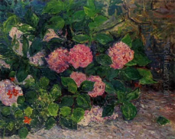 Massif D'hortensias Oil Painting by Maxime Maufra