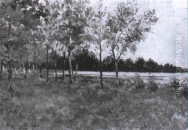 Les Petits Bouleaux, Etang De La Gournerie, Juin, Midi Oil Painting by Maxime Maufra