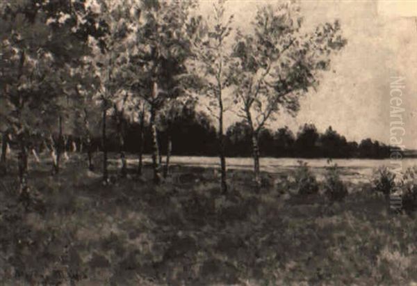 Les Petits Bouleaux, Etang De La Gournerie, Juin, Midi Oil Painting by Maxime Maufra