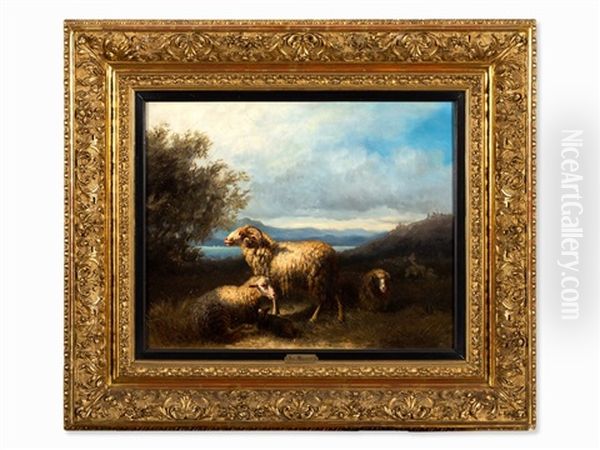 Flock Of Sheep On A Lakeshore Oil Painting by Julius Maurer