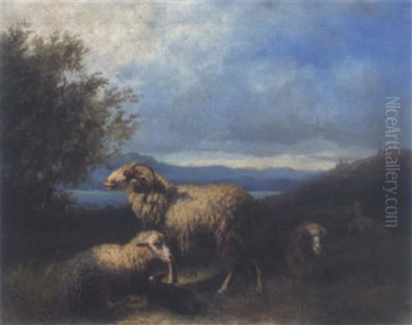 Schafherde Am Seeufer Oil Painting by Julius Maurer