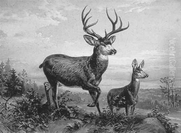 A Buck And Fawn In A Landscape Oil Painting by Louis Maurer