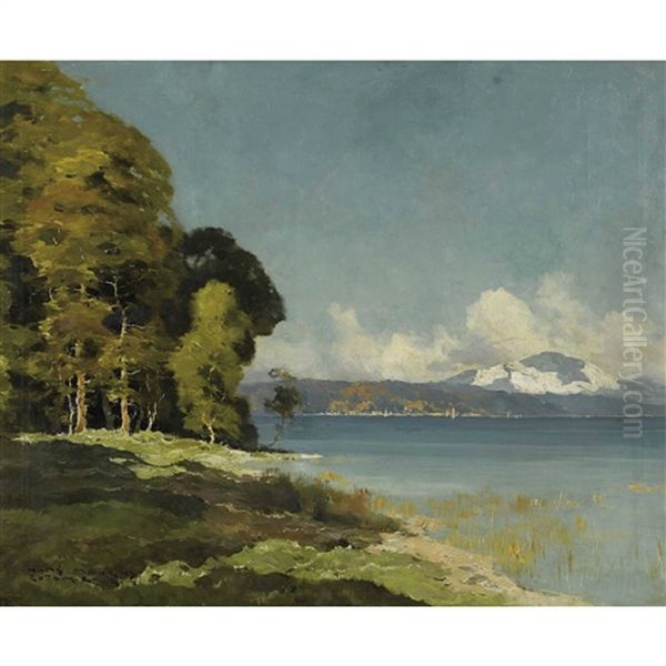 Starnbergersee Oil Painting by Hans Maurus