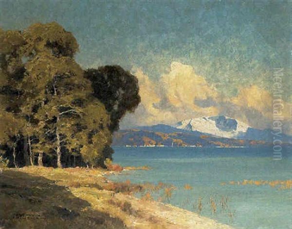 Am Starnberger See Oil Painting by Hans Maurus